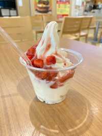 種類豊富！ソフトクリームが美味！くりーむ堂