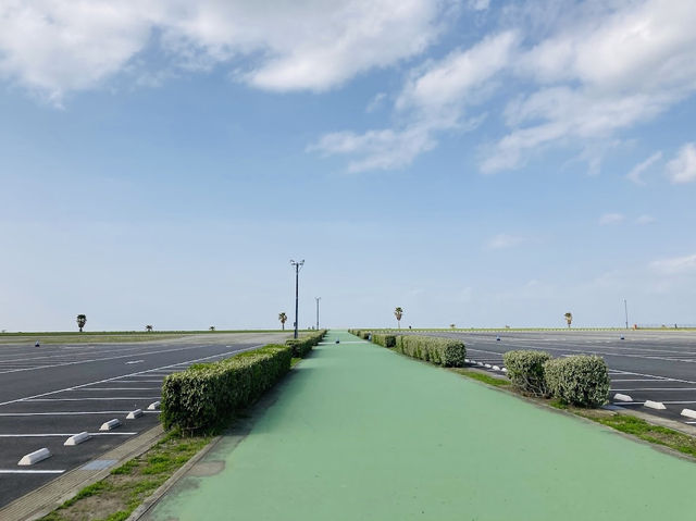 Kanedasazanami Park 
