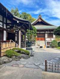 【神奈川】京都じゃないよ！心安らぐ竹の庭🎋