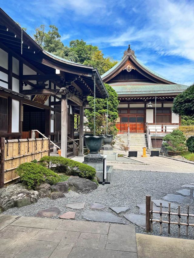 【神奈川】京都じゃないよ！心安らぐ竹の庭🎋