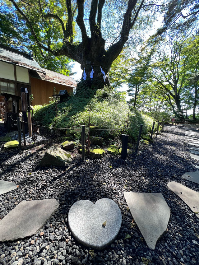 【長野】珍しい県境神社！ハートがたくさんなパワースポット🤍