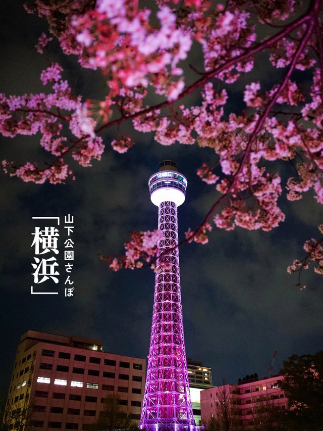 【横浜/みなとみらい】フォトジェニック👣山下公園さんぽ