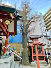 【東京都/五柱五成神社】中野区の「日限りいなり」