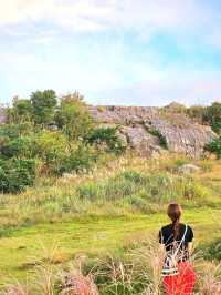 【和歌山/絶景】すすきと朝日🌄のコラボ🫧壮大な世界を1人占め✨秋はすすきが綺麗です‼️