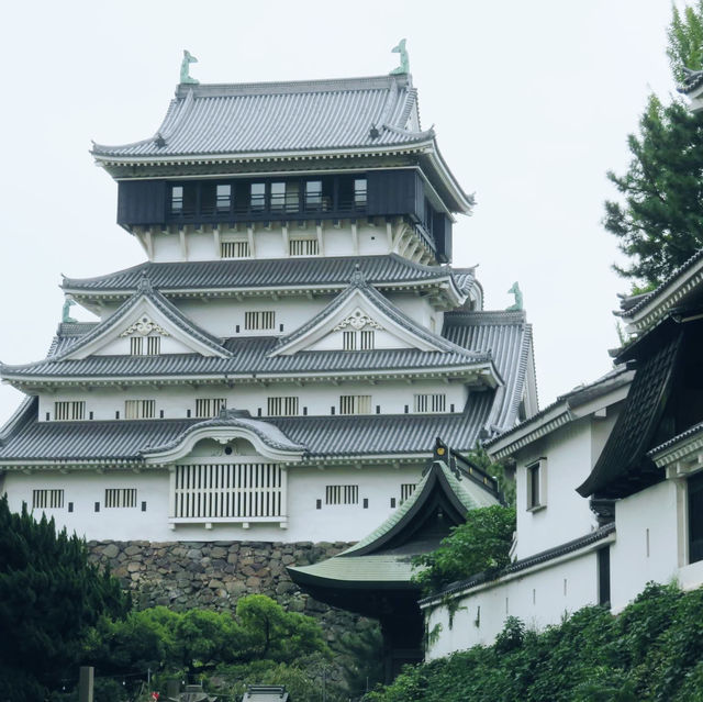 Yasaka Shrine, Fukuoka 🇯🇵