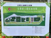 香港好去處 | 坐港鐵屯馬線去賞櫻(三) | 石門安景街公園
