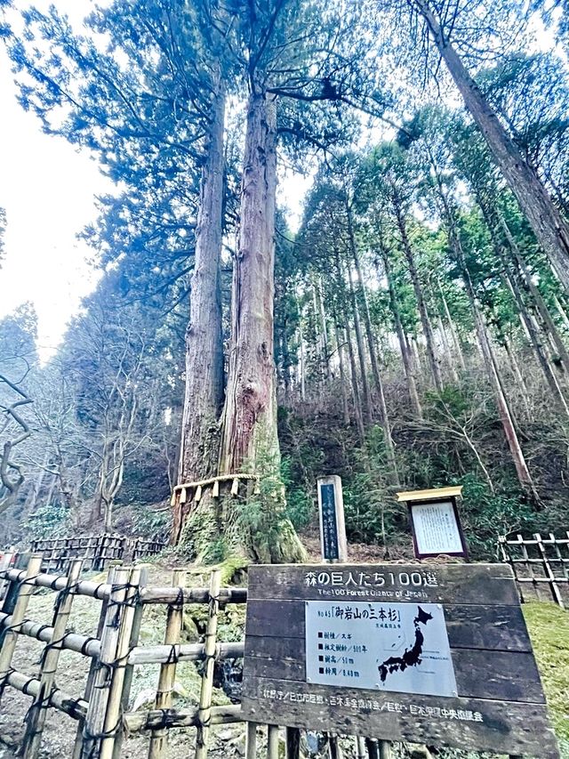 【御岩神社/茨城県】188柱もの神様を祀る神社