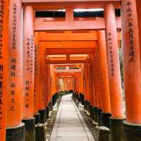 Exploring Fushima Inari Taisha