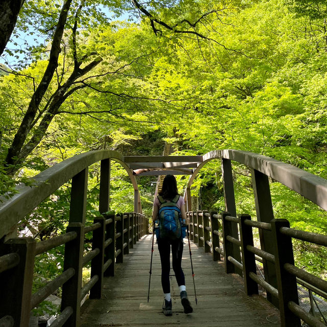 제주도 여행 한라산 등반 