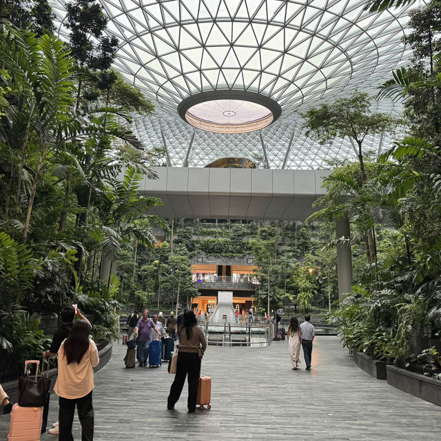 แว่เที่ยว Jewel @ Changi Airport