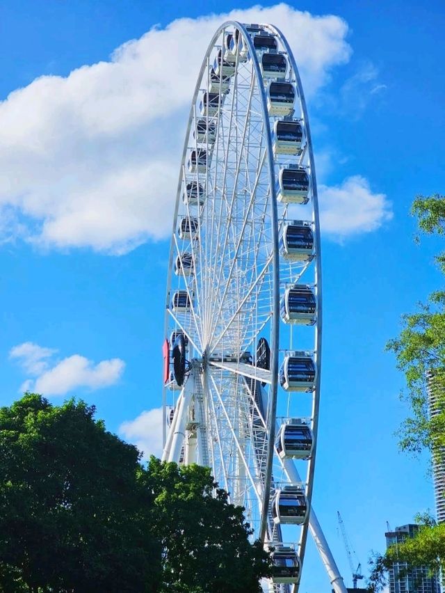 The Wheel of Brisbane