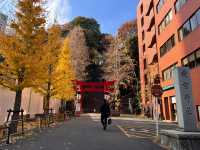 愛宕神社　@東京・港区⛩️