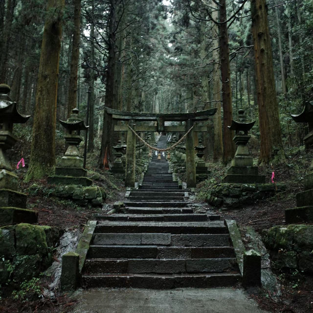 多賀大社：古老神社，幽靜祥和的神域之鄉