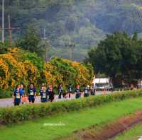เขื่อนขุนด่านปราการชล นครนายก