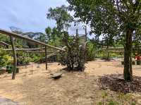 Singapore Botanic Gardens Gallop Extension