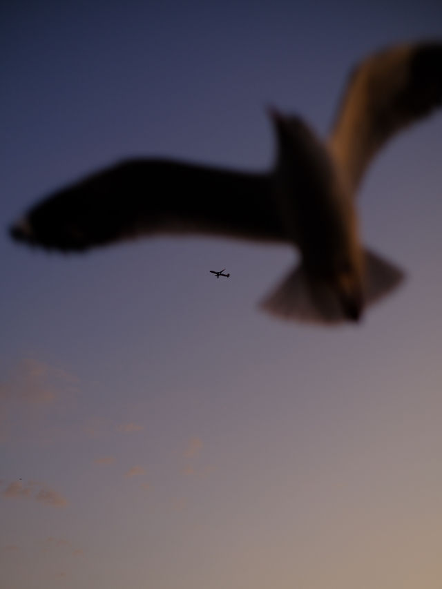 สถานตากอากาศบางปู 🐦🌤️