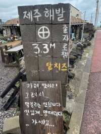 ₍ᐢ.ˬ.ᐡ₎🌺세화해변카페 달치즈 구좌세화점
