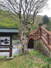 🌸🍃Narai Juku 🌸Japan