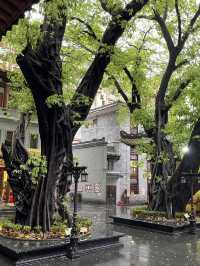 🙏 廣州大佛寺：重拾內心寧靜之所** 🏯🌅🌸