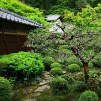 「安養園庭園」禪意枯山水景觀，超脫塵世的靈性狀態
