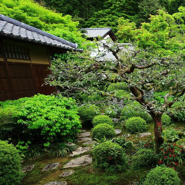 「安養園庭園」禪意枯山水景觀，超脫塵世的靈性狀態