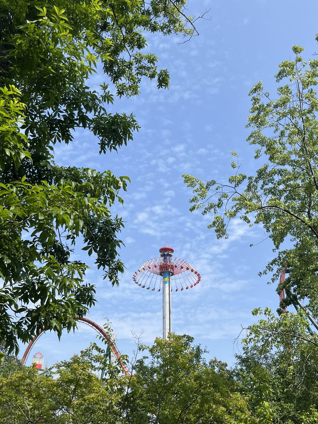 토론토의 긴 겨울이 지나면 꼭 가야할 곳 'Wonderland'🎡