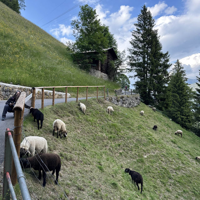 Small traffic free village in Switzerland