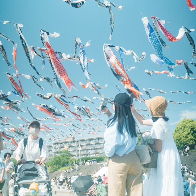 大阪・高槻】青空に泳ぐ希望の鯉1000匹の絶景 芥川桜堤公園 | Trip.com