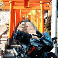 大島神社の連立鳥居