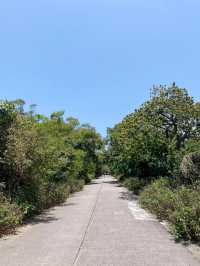 【南丫島】近距離觀賞風車，輕鬆悠閒的春日離島郊遊