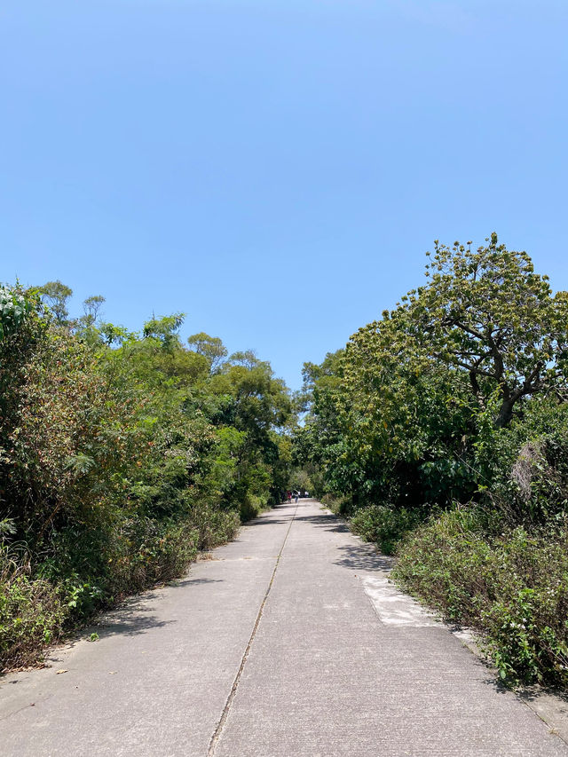 【南丫島】近距離觀賞風車，輕鬆悠閒的春日離島郊遊
