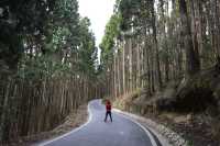 新竹小錦屏野溪溫泉+苗栗觀霧國家森林遊樂區