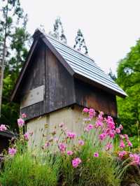 ShirakawaGO