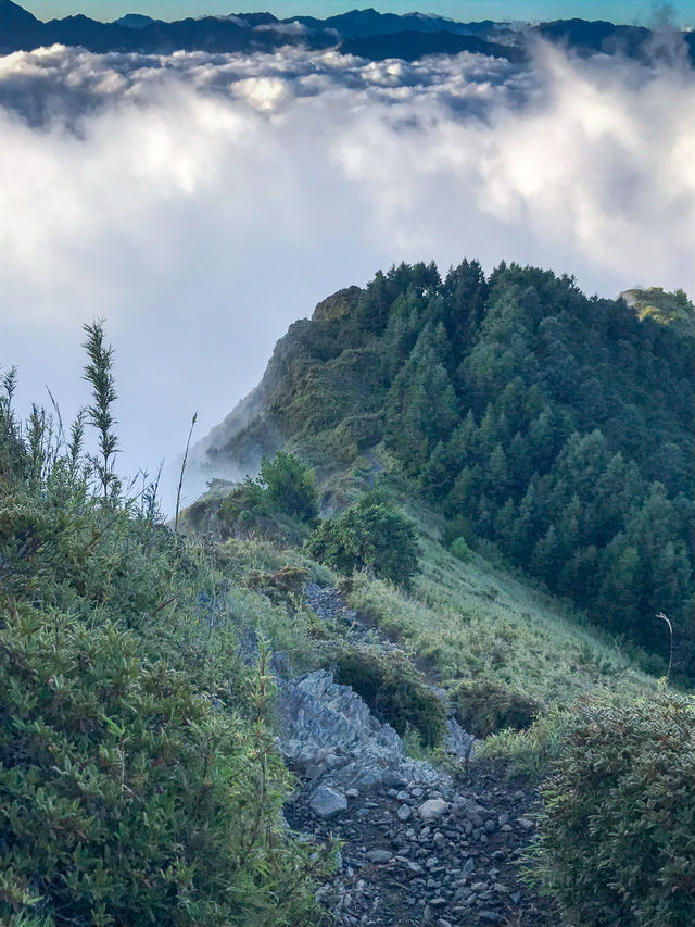 台灣桃山日出雲海