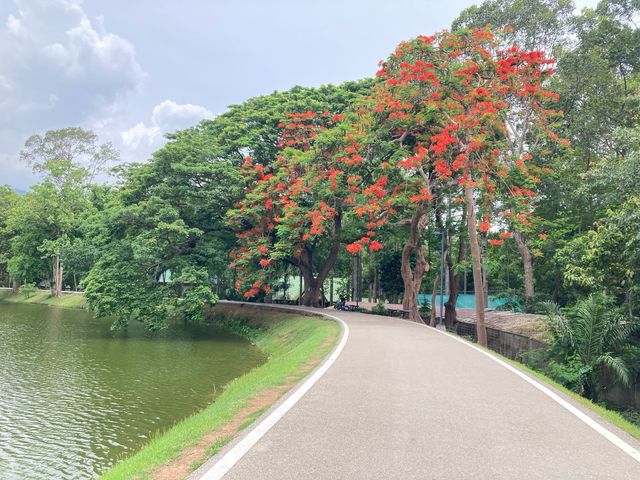 สัมผัสอากาศดีของเชียงใหม่ @ อ่างแก้ว 