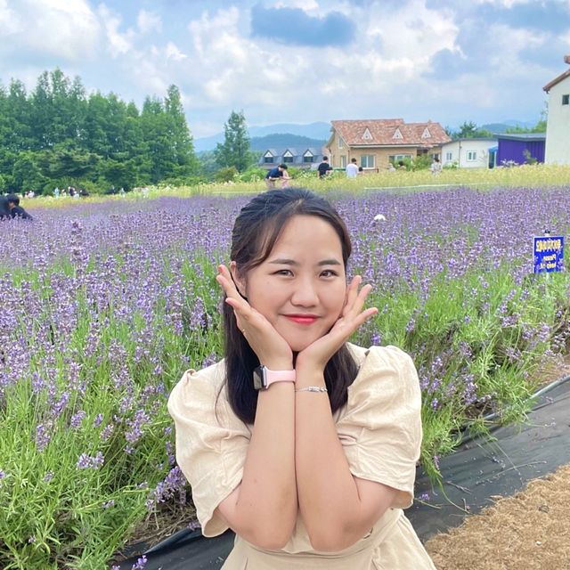 강원도 고성 하늬 라벤더팜 포토존 추천 🪻