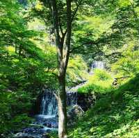 養老の滝