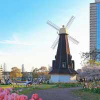 【2024春天好去處】花海公園，賞花回憶