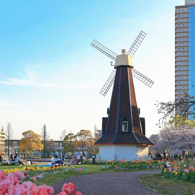 【2024春天好去處】花海公園，賞花回憶