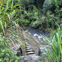 【台灣春天好去處】玉山國家公園：杜鵑花海，追尋春日之美的最佳目的地