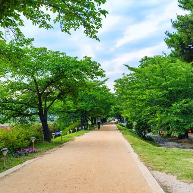 숨겨진 장미 스팟을 알려드려요
