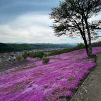 Hokkaido 🌸Higashimokoto Shibazakura