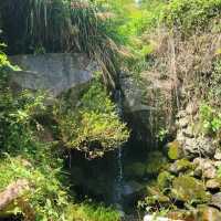 碧山巖：優質綠道，感受大自然魅力