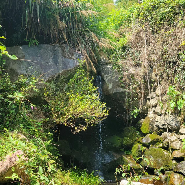 碧山巖：優質綠道，感受大自然魅力