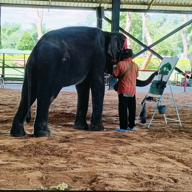 พิพิธภัณฑ์ช้าง อ.ท่าตูม จ.สุรินทร์