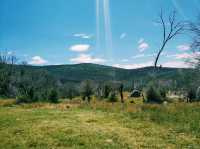 Rocky Plain Campground