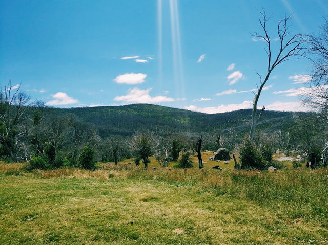 Rocky Plain Campground