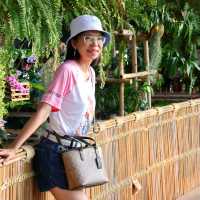 ร้านข้าวใหม่ปลามัน ร้านอาหารและคาเฟ่อัมพวา