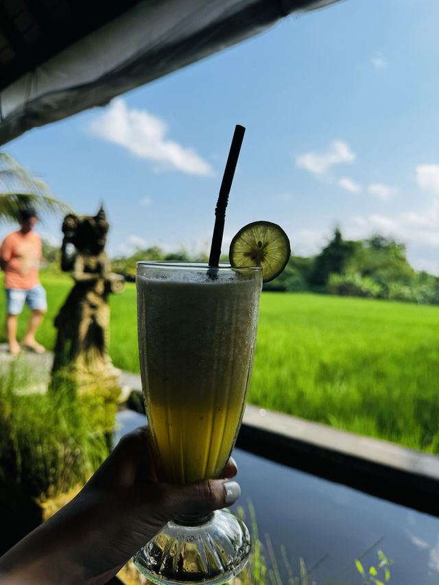インドネシア🇮🇩バリ島✨ウブドのレストラン🌿🍽️