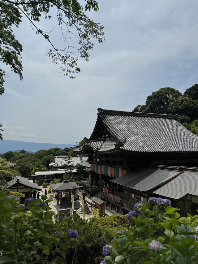 【奈良】花手水で有名な古刹